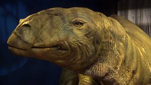Science Museum Oklahoma “Red Dirt Dino's” Exhibit