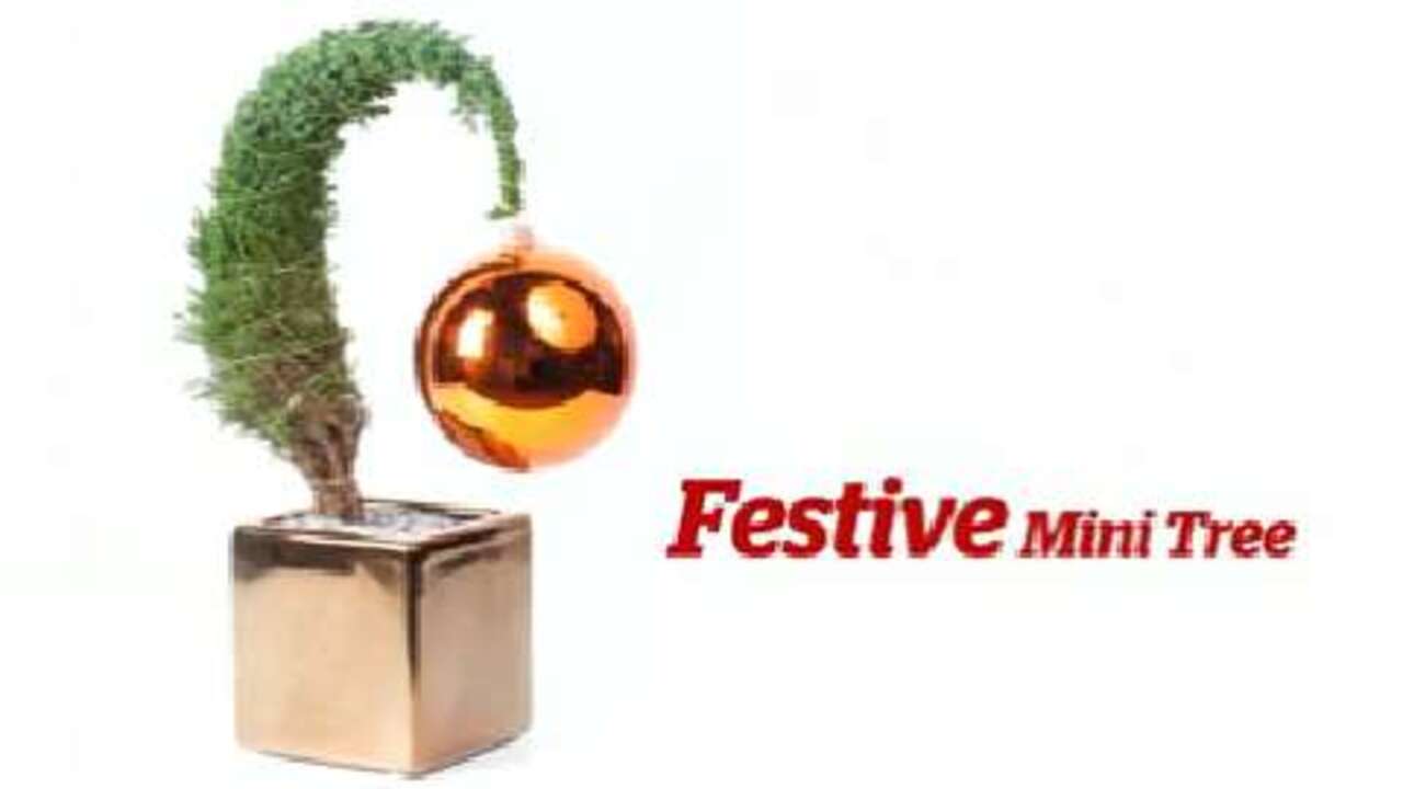 How to make a festive mini-tree