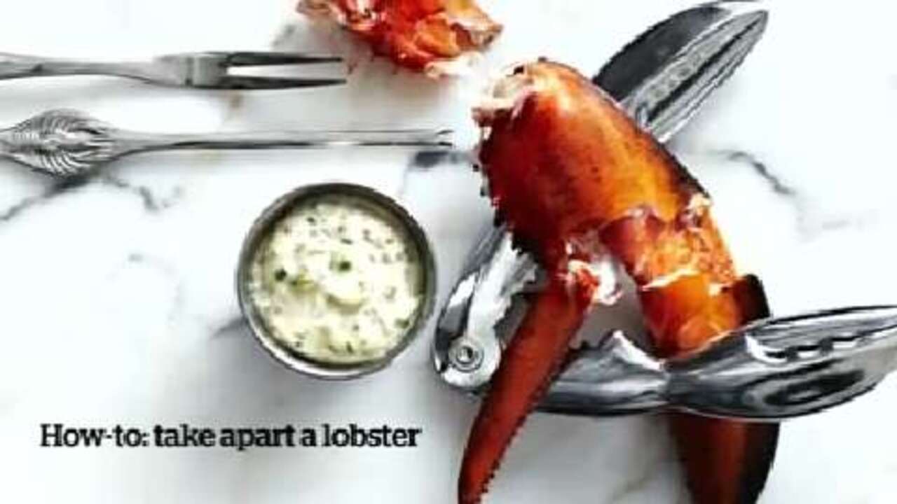 How to take apart a lobster