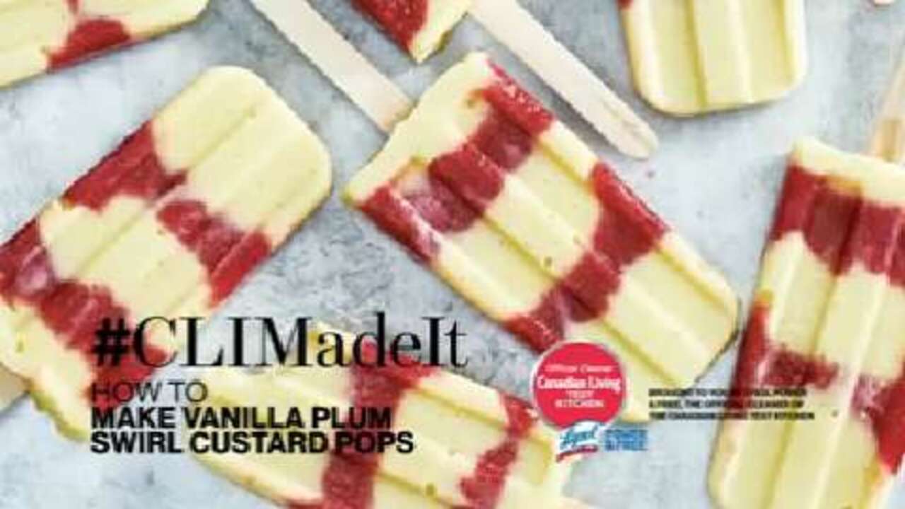 Vanilla Plum Swirl Pudding Pops