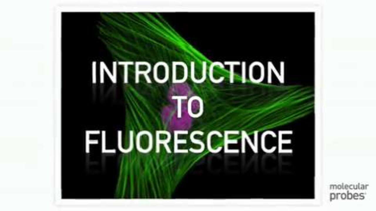 A Guide to Fluorescence