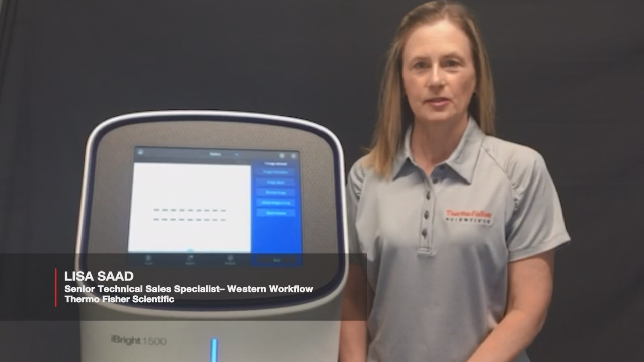 Virtual Exploration, Anywhere, Anytime: iBright Imaging System