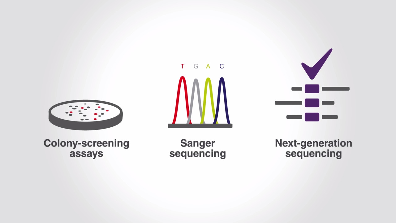 Evolution of Organic Solvent-Resistant DNA Polymerases