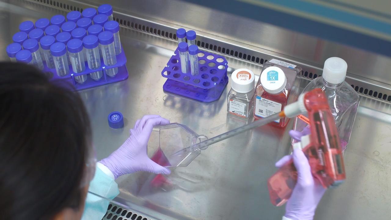 Gibco Cell Culture Basics | Thermo Fisher Scientific - US