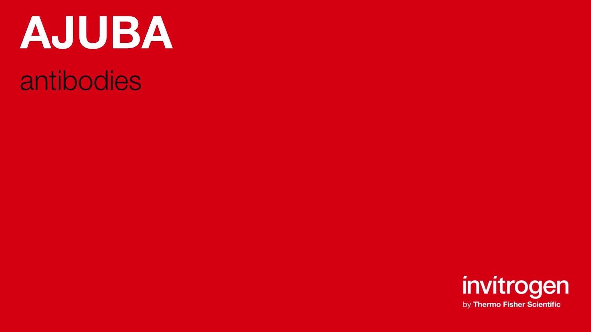 AJUBA antibodies from Thermo Fisher Scientific