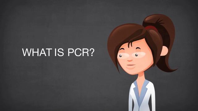 Introduction to PCR - Scientific Videos | Thermo Fisher Scientific US
