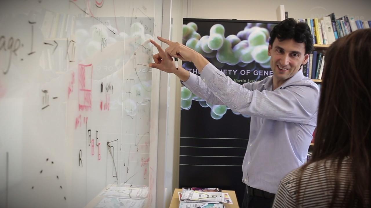 Institute for Computational Medicine | NYU Langone Health