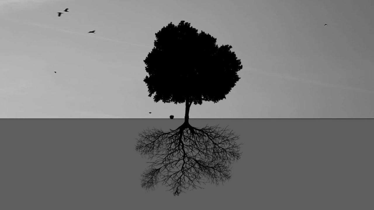 Sage Video - Core Concepts in Sociology: Micro- & Macro-Level Theories