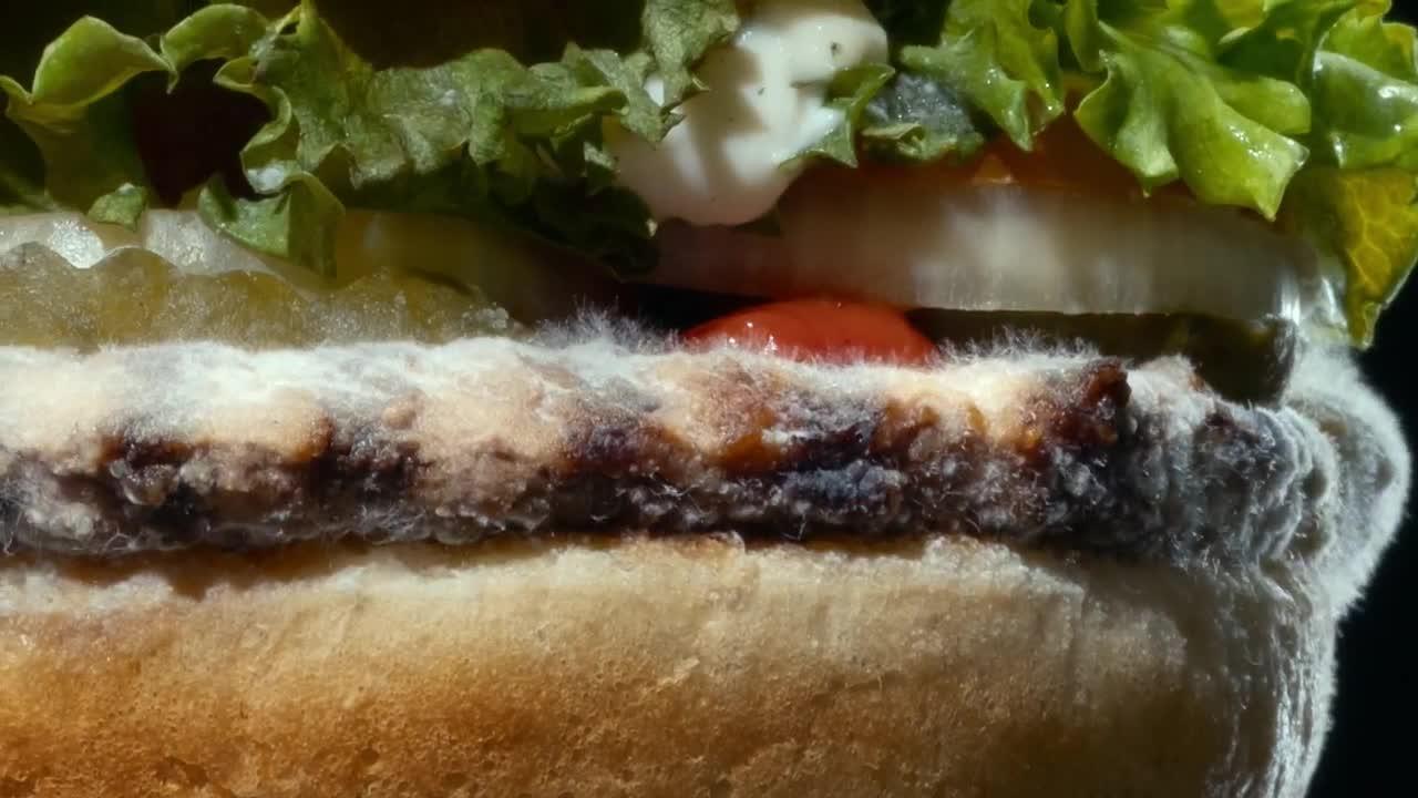 Burger King's Moldy Whopper and Go Back to Africa win Black