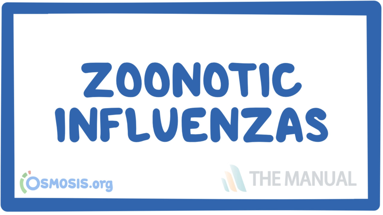 Zoonotic Influenzas