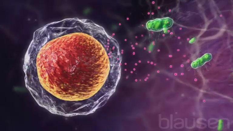 Sistema Inmune: qué es y cómo funciona