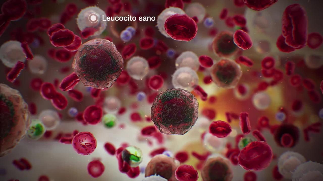 Introducción al cáncer