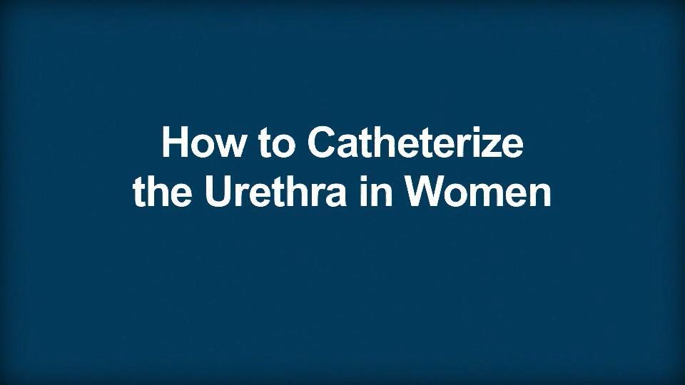 assignment on urinary catheterization