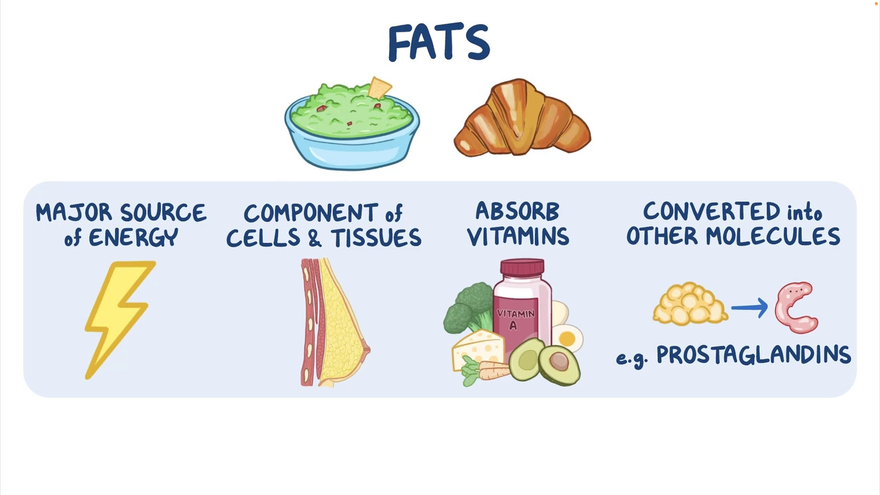 Overview of Fats
