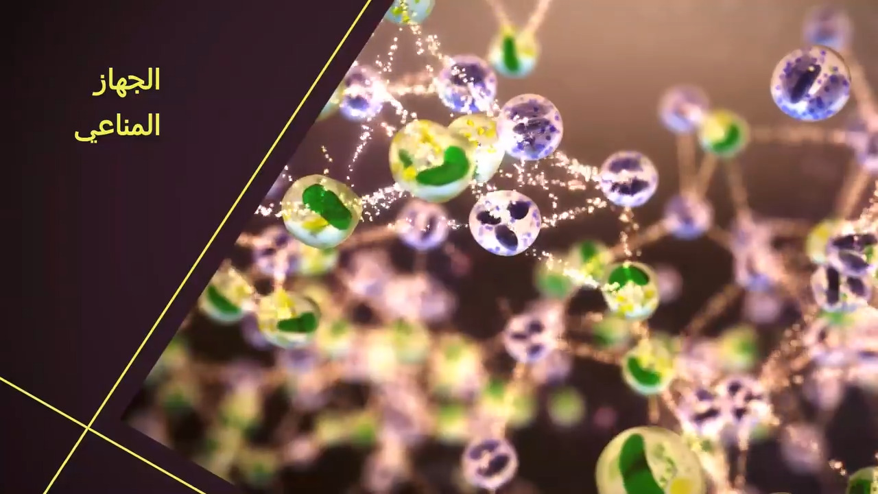 لمحة عامة عن الجهاز المناعي