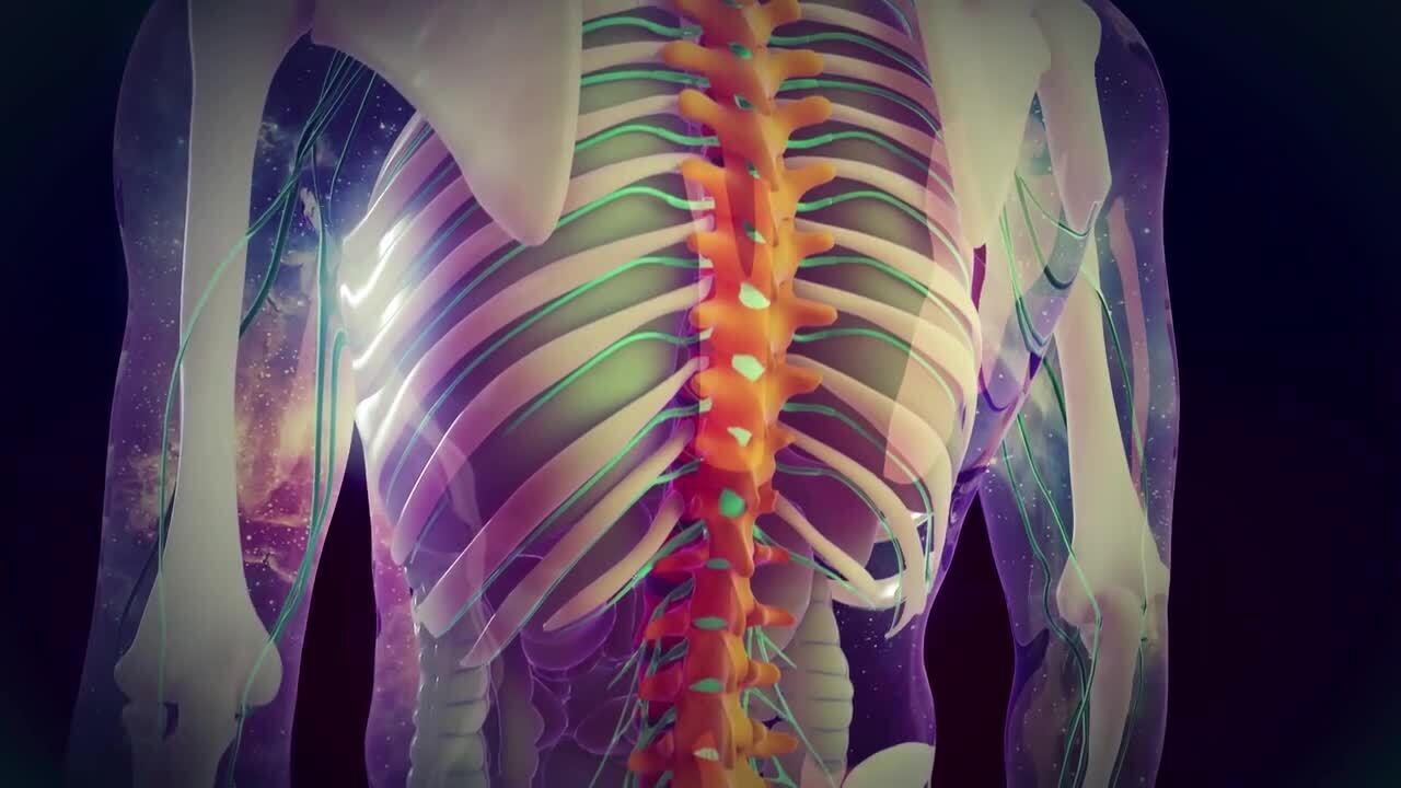 Cómo evitar los dolores músculo-esqueléticos de espalda