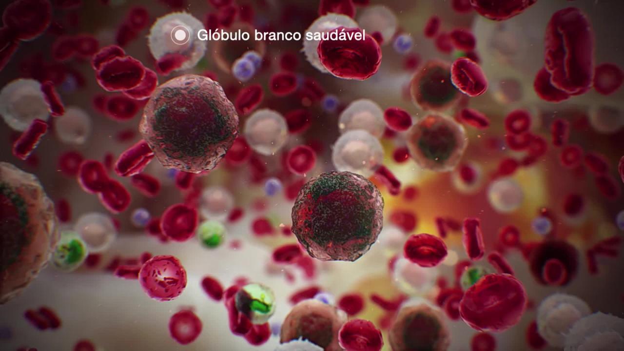 Considerações gerais sobre o câncer