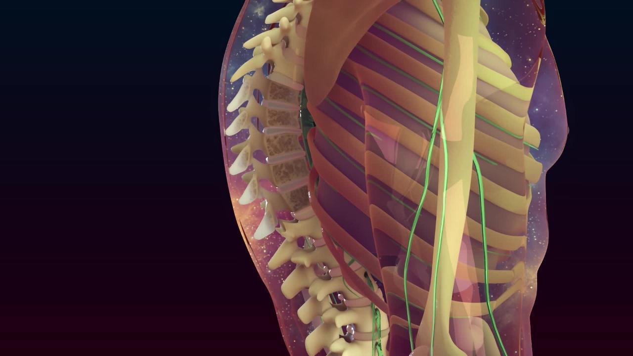 Osteoporosis Bone Joint And Muscle Disorders Merck Manuals