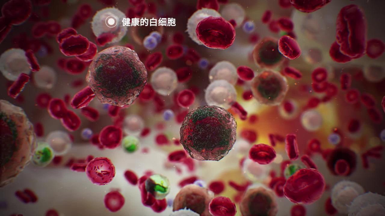 癌症的概况