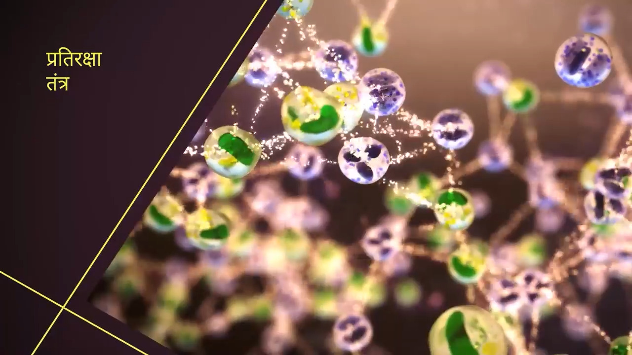 इम्यून सिस्टम का ब्यौरा