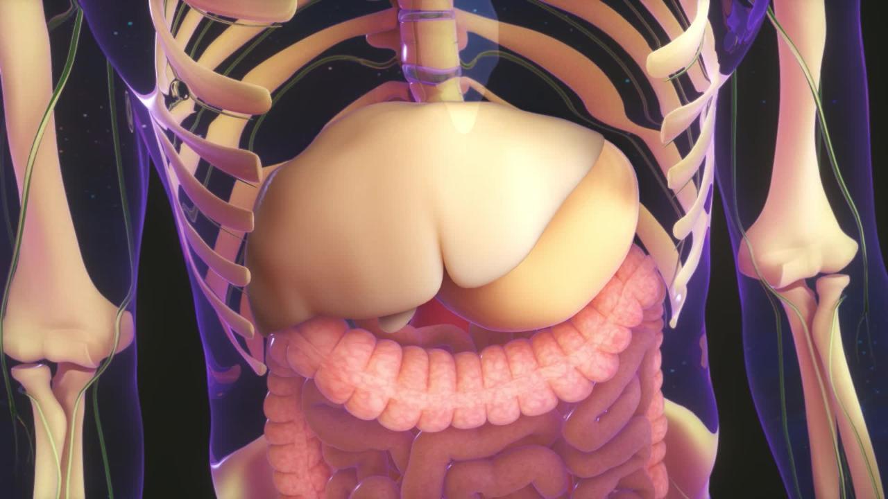 Cirrhosis and Fibrosis