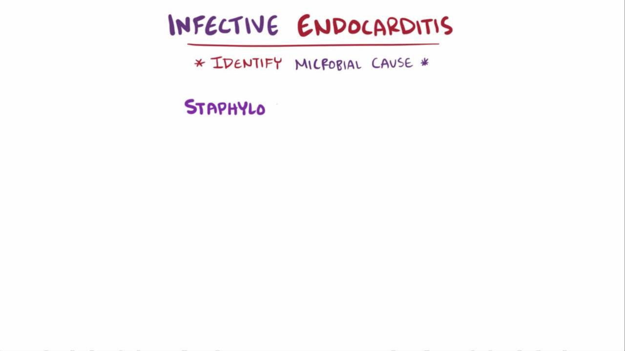 Infective Endocarditis Cardiovascular Disorders Msd Manual Professional Edition 