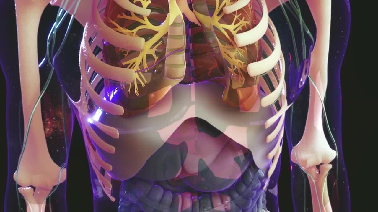 Apnea del sueño - Trastornos del pulmón y las vías respiratorias - Manuale  Merck versión para el público general