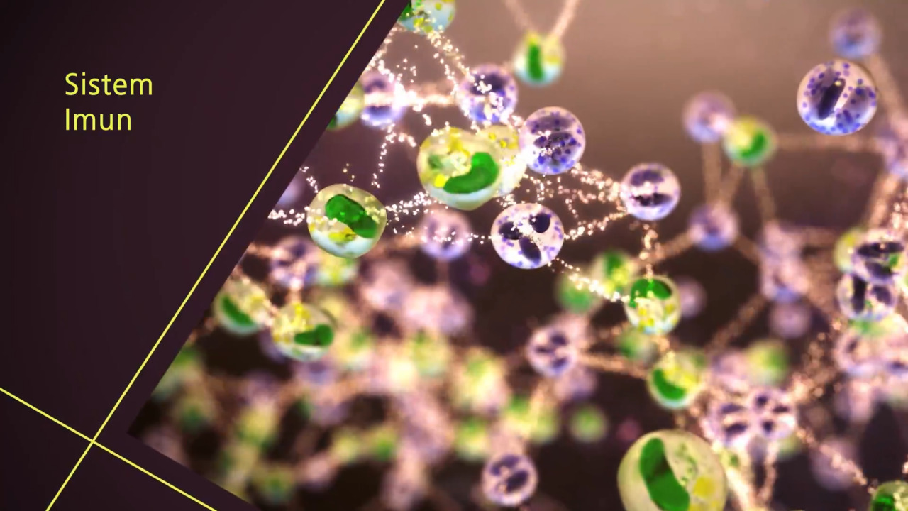 Gambaran Umum Sistem Imun