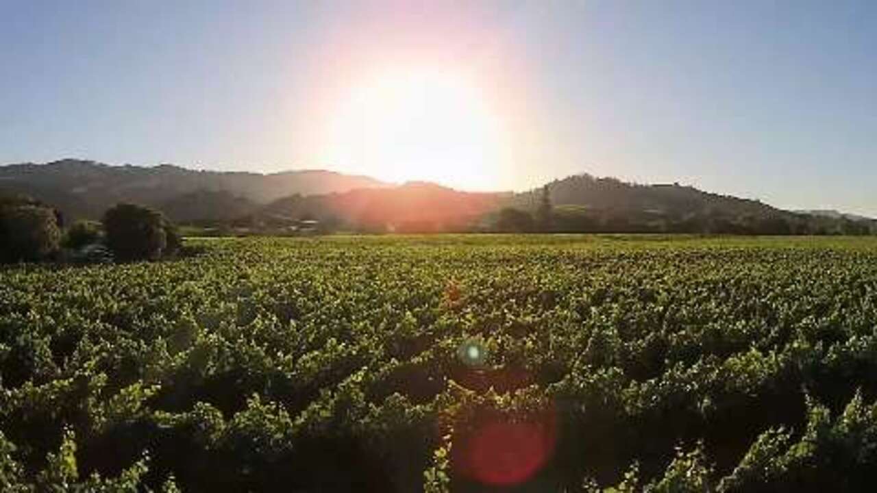 Napa County - Customer Success Story (Gary Coverdale - CIO & CISO)