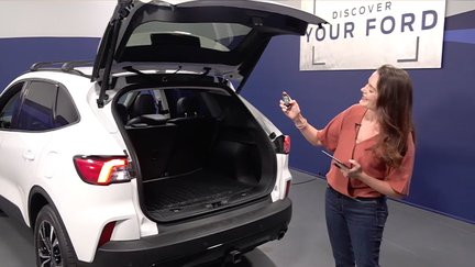 Ford Escape Livestream