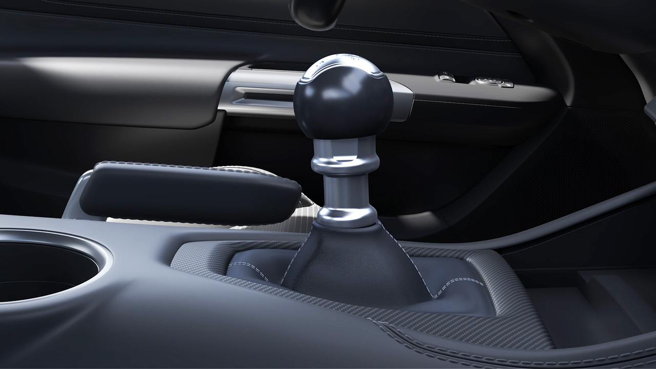 Mustang Reverse Lock-Out Pull Ring