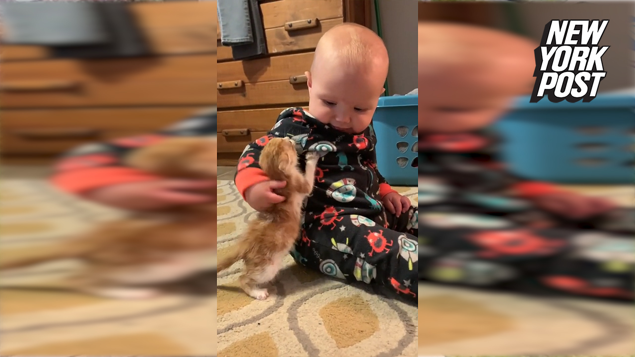 A baby was taught to use “gentle hands” with a kitten taken in by a family in Mississippi. See how 9-month-old Sojourner lights up while petting the cat in this heartwarming moment. For more feel-good animal rescue videos, click here.