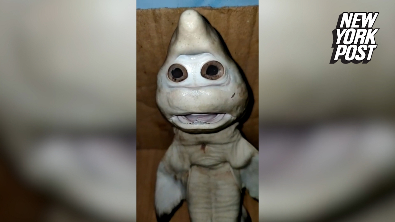 Baby Shark With Human Face Looks Like Youtube Character