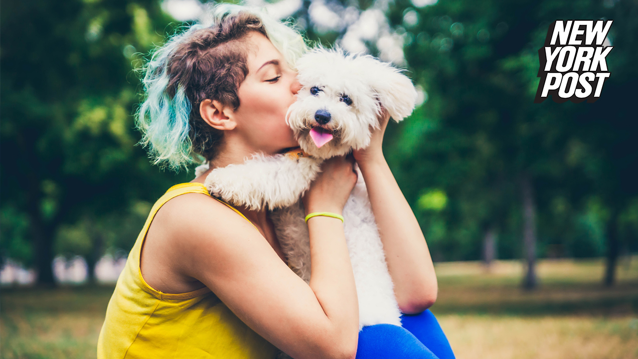 #Pet owners are relying on their pets to keep their spirits high now more than ever