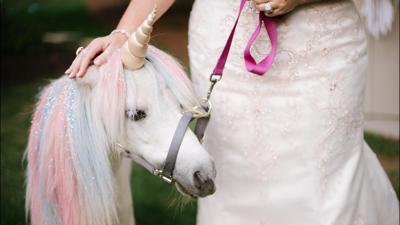 Unicorn Day: Unicorns Are Real, but Not as Pretty as You Think