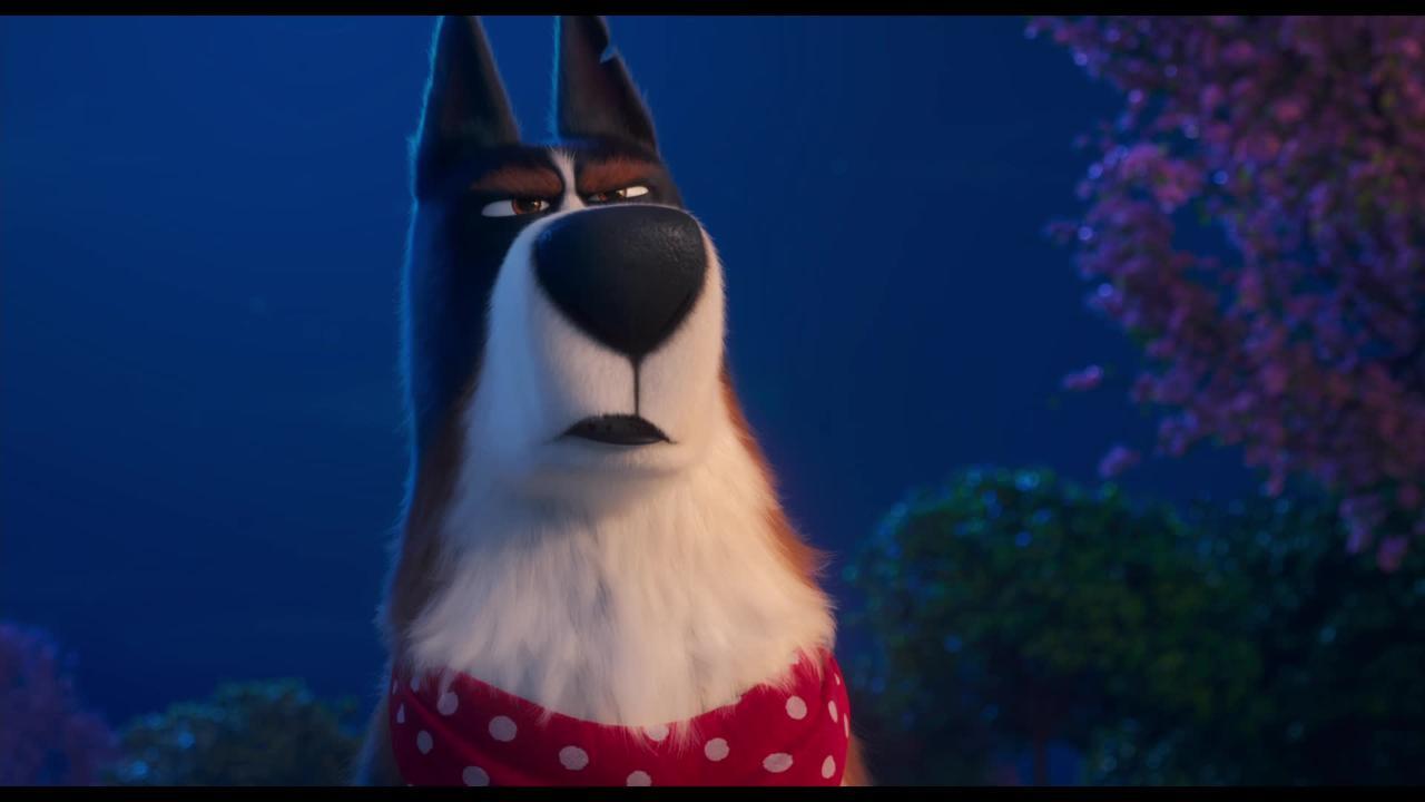 See Harrison Ford Voice Rooster in The Secret Life of Pets 2