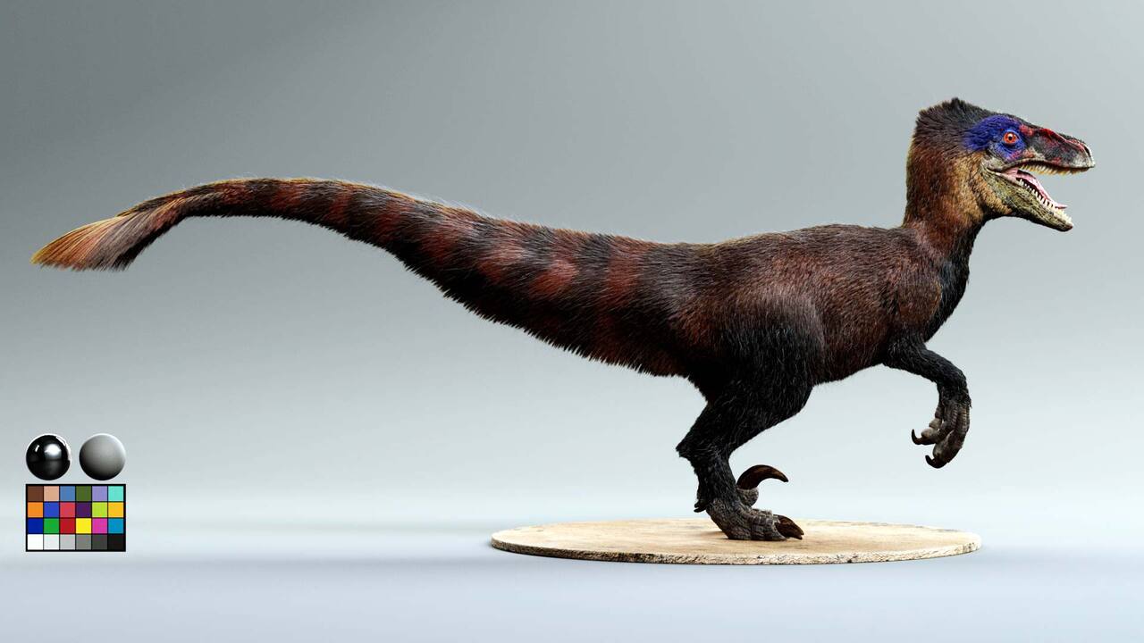The Gnomon Workshop - Creating Creature Fur Using Xgen & Arnold 2 image