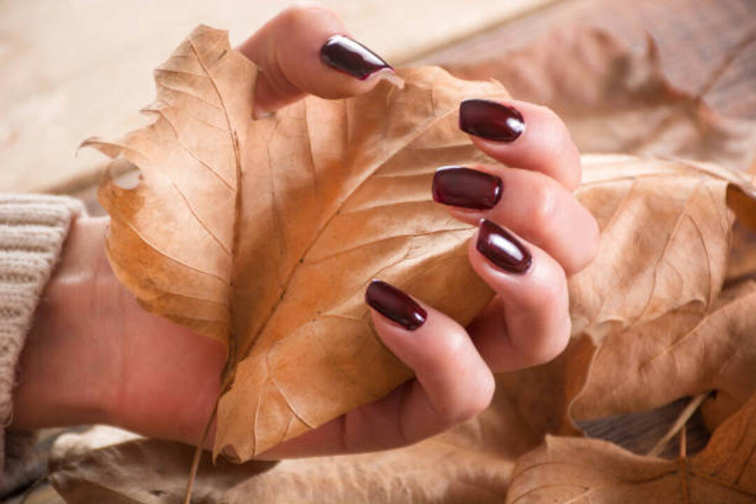 Best Fall Nail Colors: Brown Manicures Are Trending on Instagram