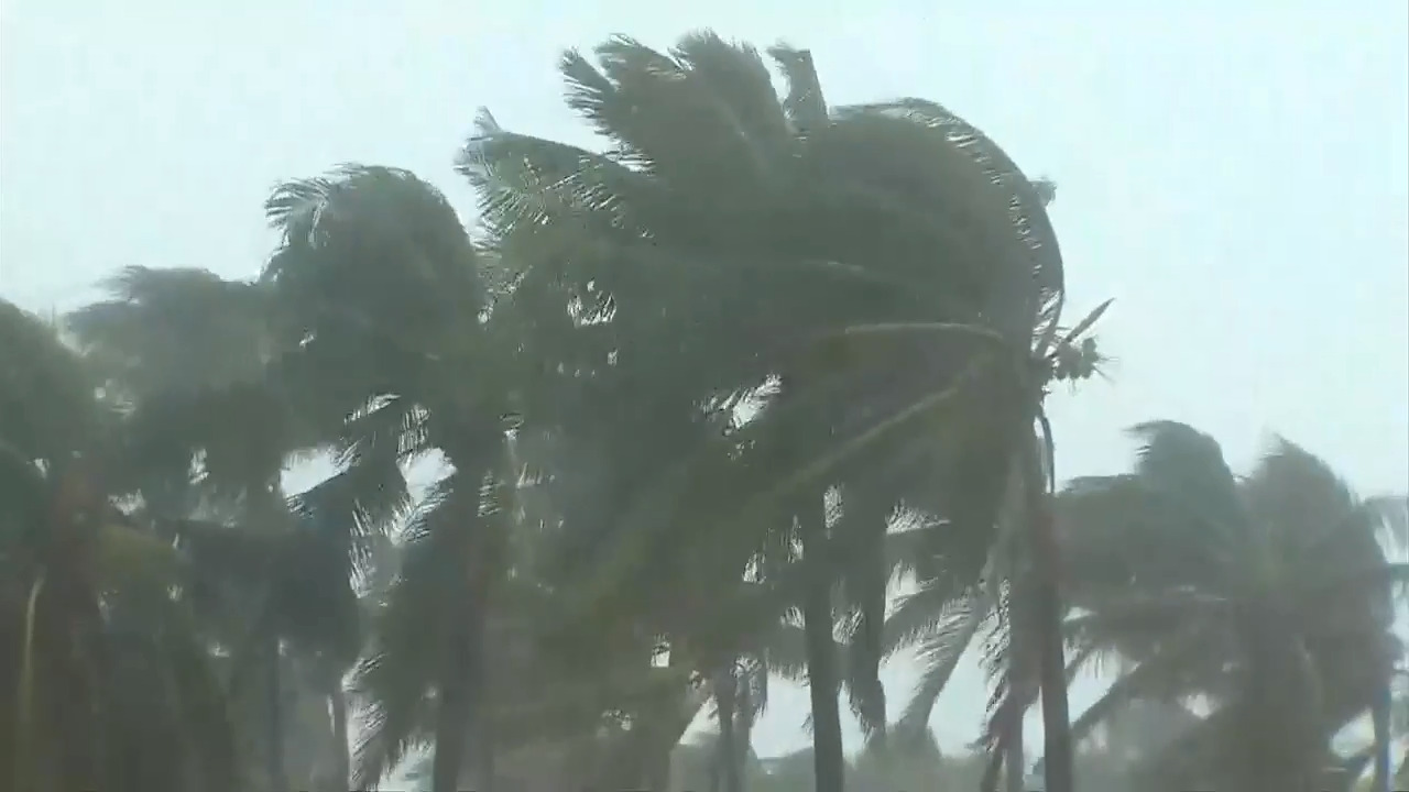 Storms topple tree in Sunrise, flood Sawgrass Mills Mall parking lot, lead  to traffic backups - WSVN 7News, Miami News, Weather, Sports