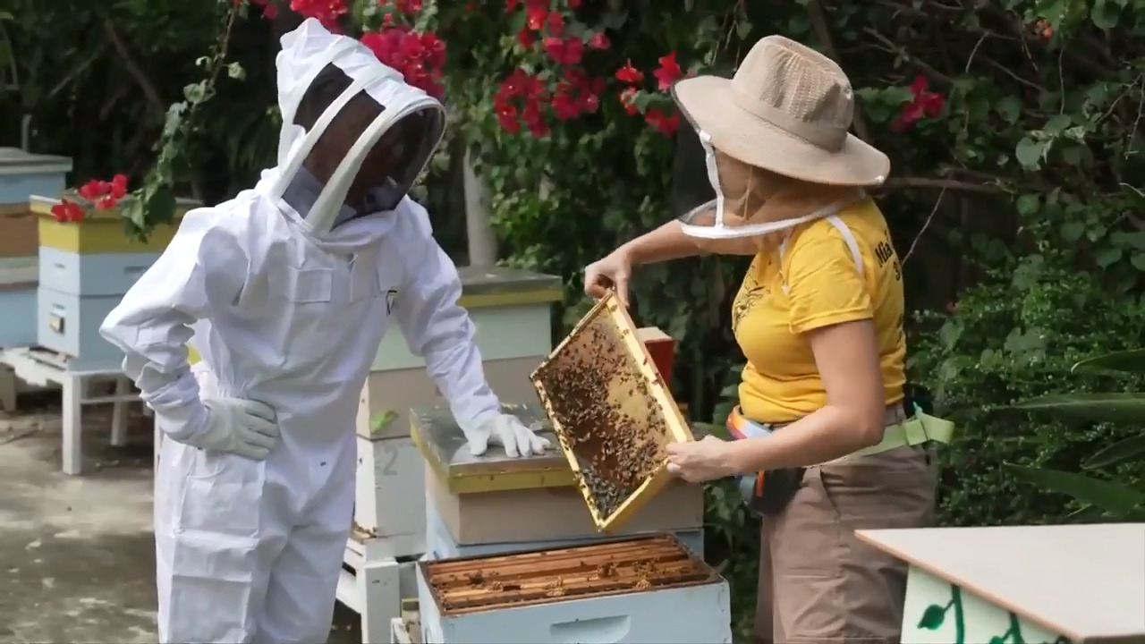 They serve a massive purpose for us': Miami beekeeper working to create a  buzz about bees - WSVN 7News, Miami News, Weather, Sports