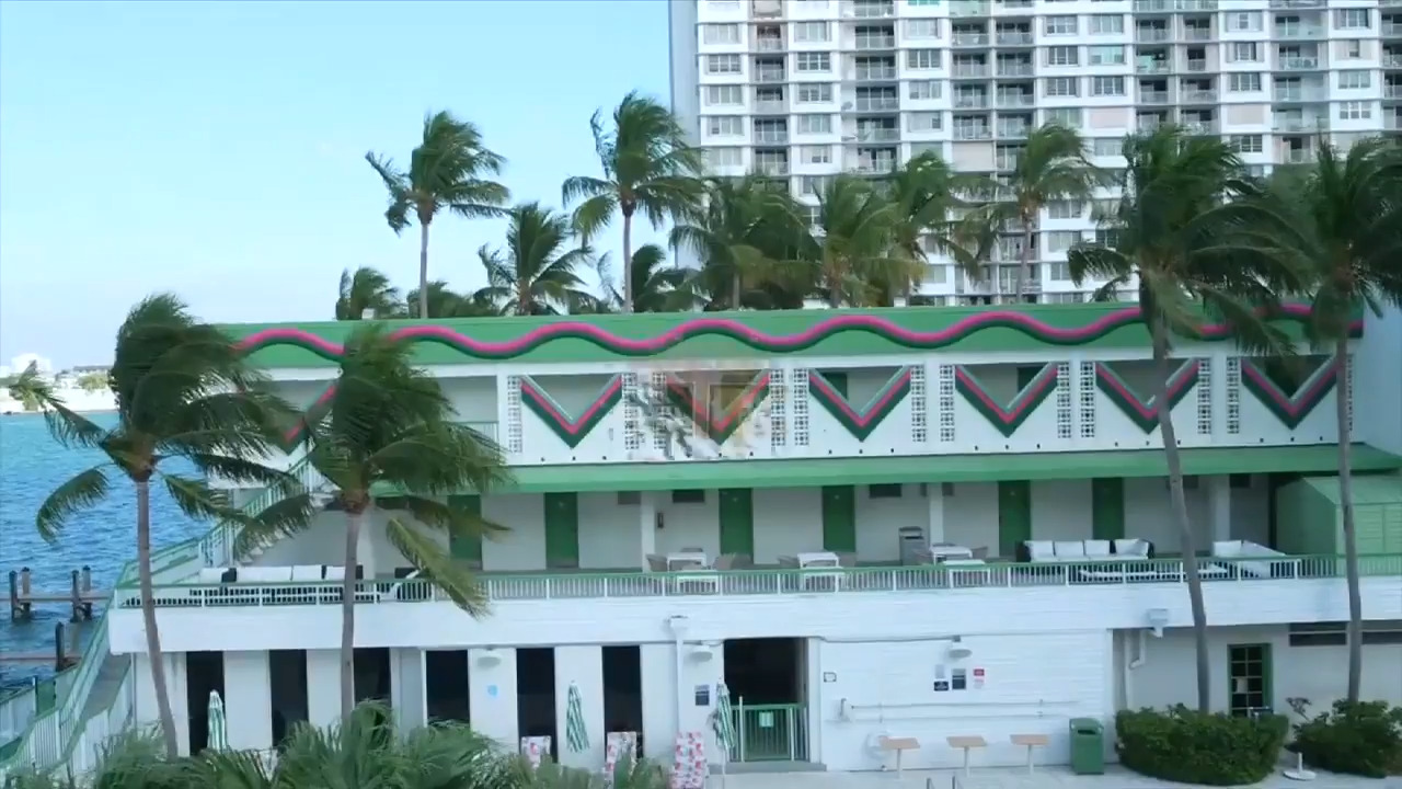 Iconic waterfront turned social club, Palm Tree Club Miami is where locals  mix with A-list stars and athletes - WSVN 7News | Miami News, Weather,  Sports | Fort Lauderdale