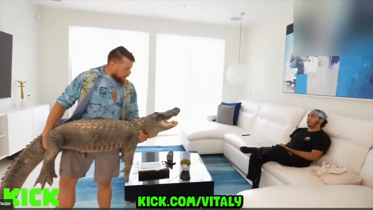 PEDOPORNO YouTubers bait suspected pedophile, threaten him with gator in  'vigilante-style' operation - WSVN 7News | Miami News, Weather, Sports |  Fort Lauderdale