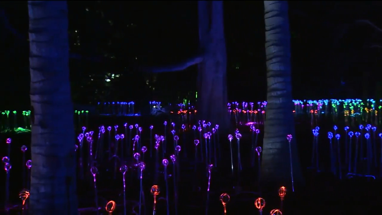 Nightgarden At Fairchild Tropical Botanic Garden Returns For Second Year Wsvn 7news Miami News Weather Sports Fort Lauderdale