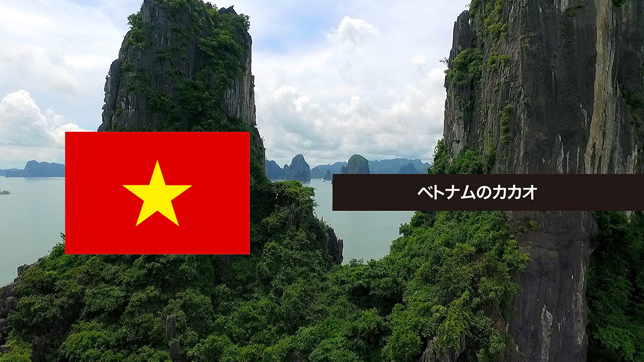 SOCIALIST REPUBLIC OF VIETNAM ベトナム社会主義共和国 新しい
