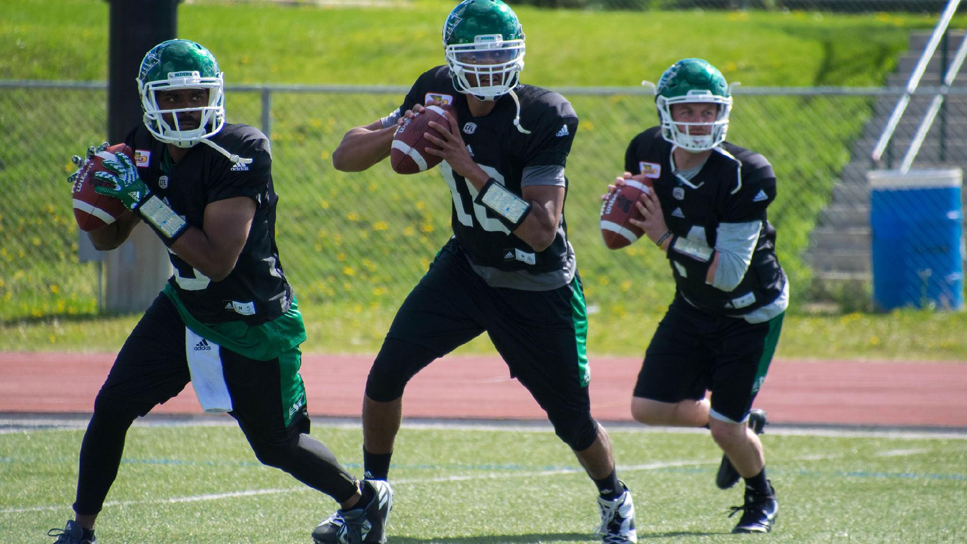 Vince Young Could Sign With CFL Team