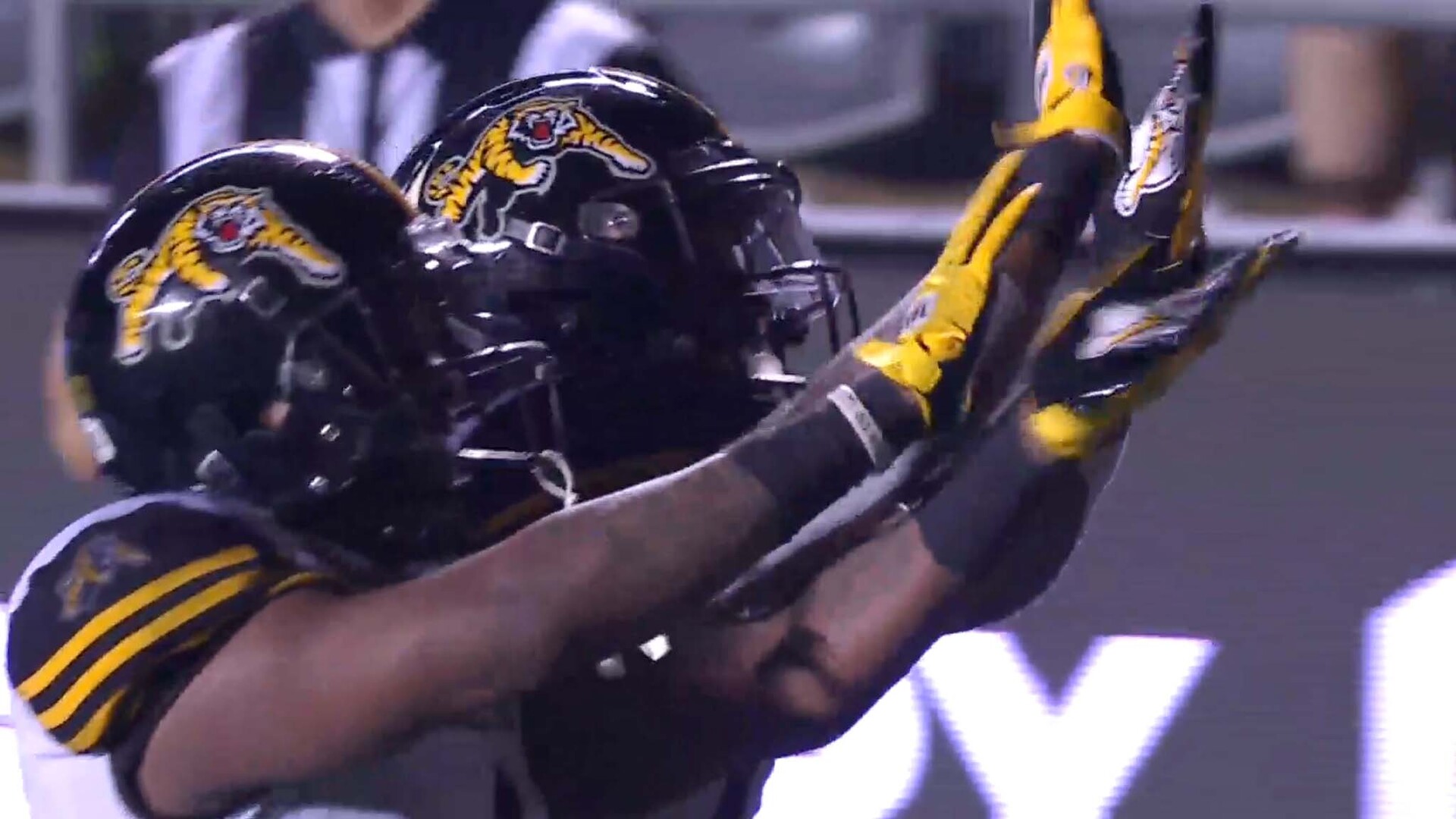 Hamilton Tiger-Cats ready to roar after limping into CFL playoffs