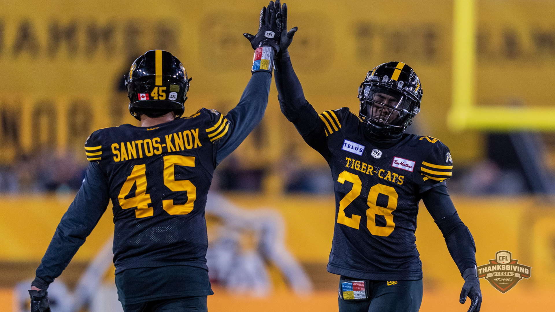 CFL Result: Hamilton Tiger-Cats Triumph Over Calgary Stampeders 22