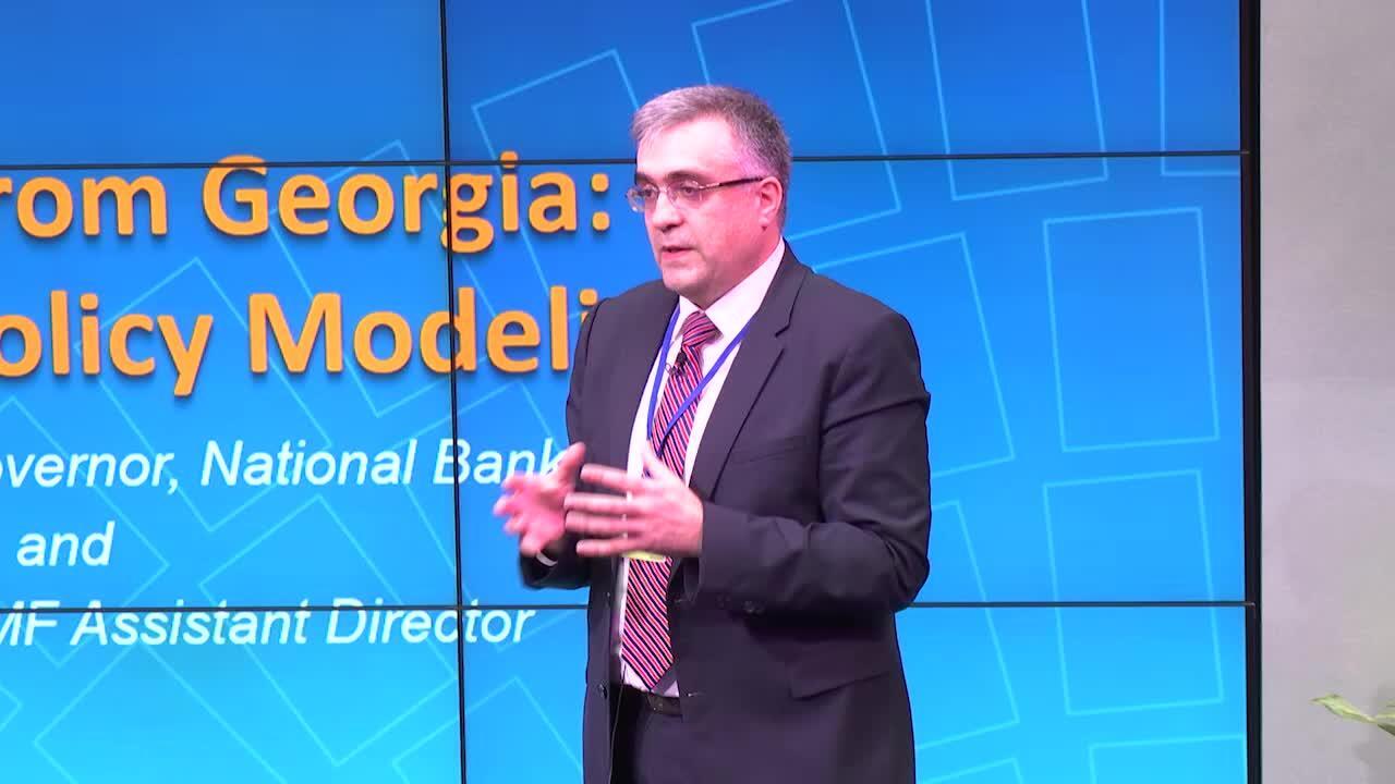 Postcard from Georgia: Monetary Policy Modeling