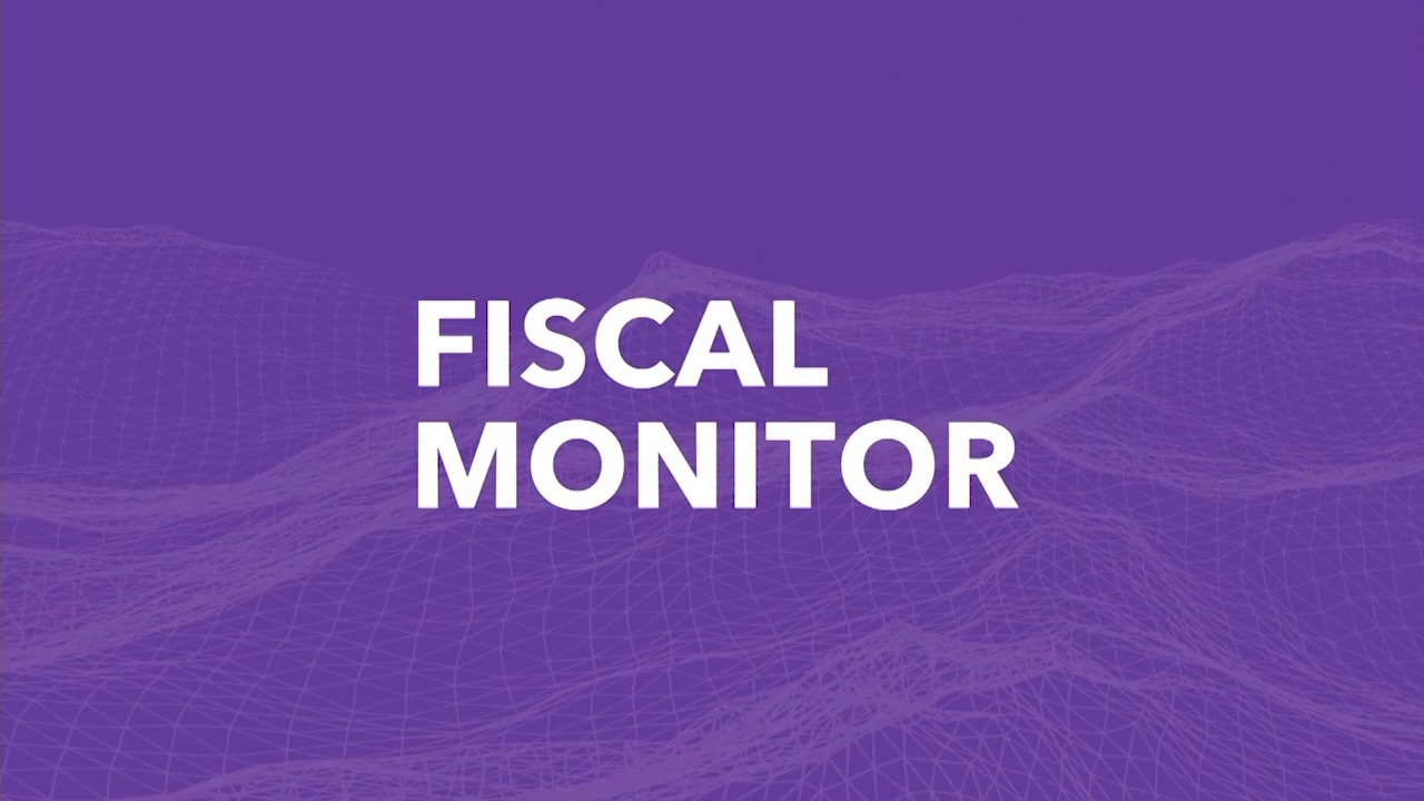 IMF Videos - Spanish - IMF Press Briefing: Fiscal Monitor