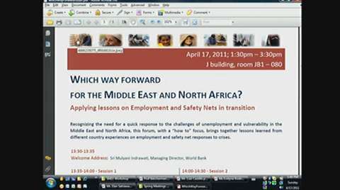 Which way Forward for the Middle East and North Africa? Applying Lessons on Employment and Safety Nets in Transition